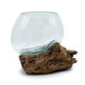 Molten Glass on Wood Bowl, Medium (Hand-Blown Recycled Glass) - Molten Root