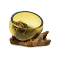 Molten Glass on Wood Bowl, Mini Amber (Hand-Blown Recycled Glass) - Molten Root