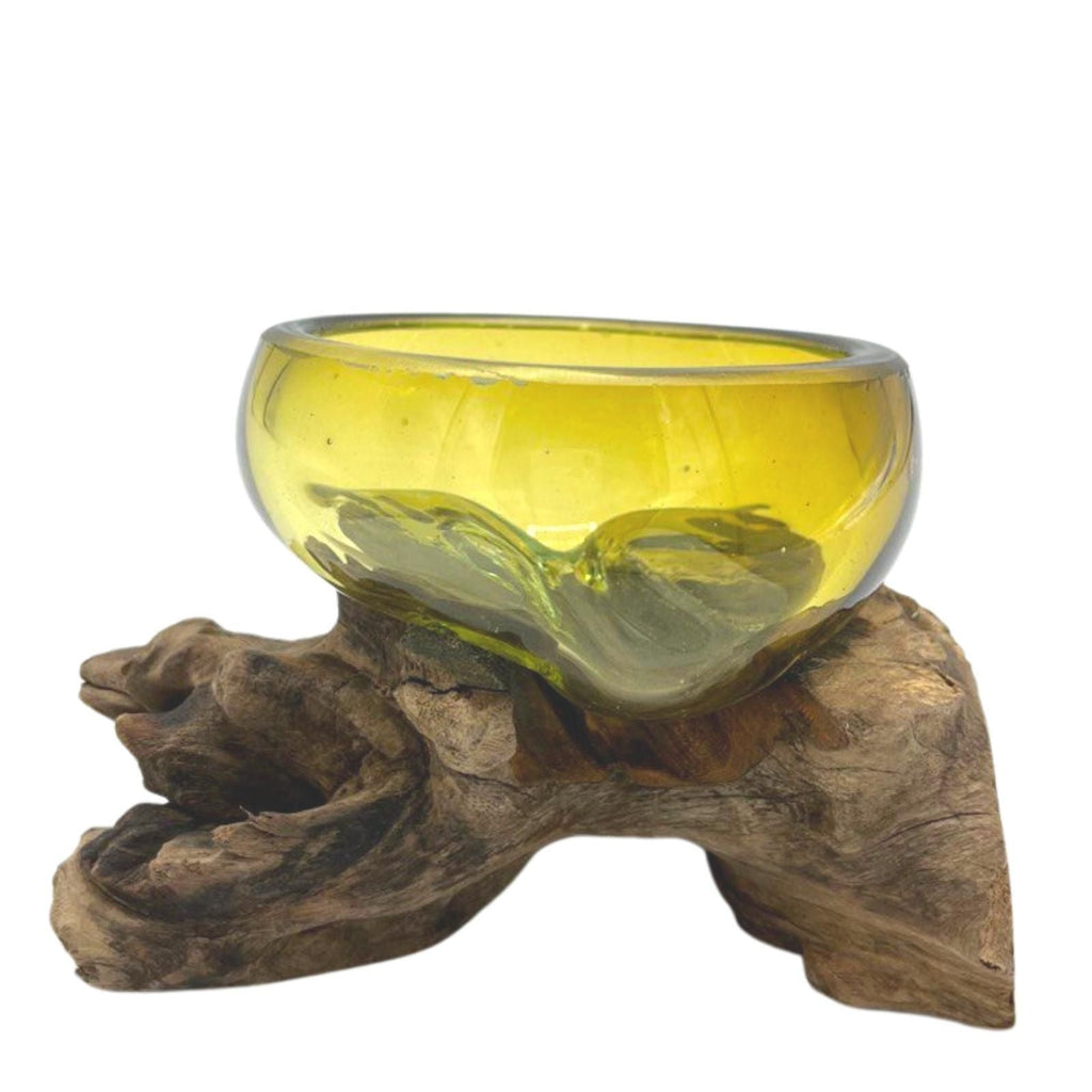 Molten Glass on Wood Bowl, Mini Amber (Hand-Blown Recycled Glass) - Molten Root