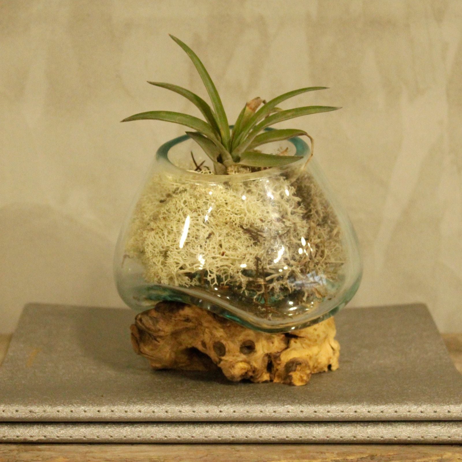 Molten Glass on Wood Bowl, Small (Hand-Blown Recycled Glass) - Molten Root