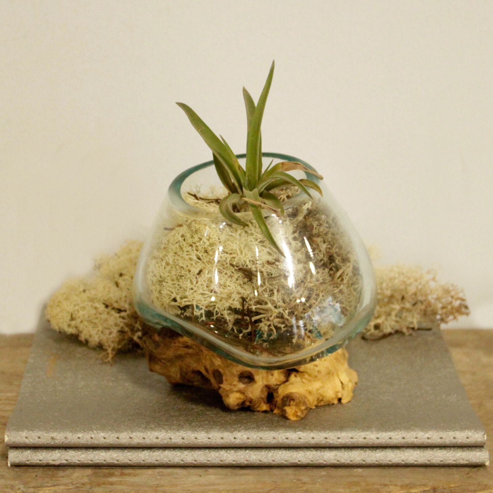 Molten Glass on Wood Bowl, Small (Hand-Blown Recycled Glass) - Molten Root