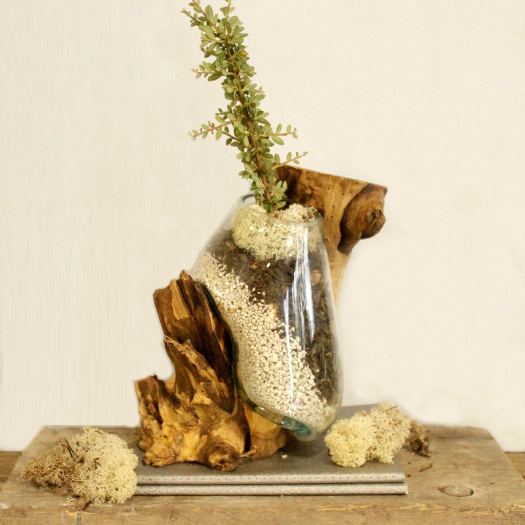 Molten Glass on Wood Hanging Bowl (Hand-Blown Recycled Glass) - Molten Root