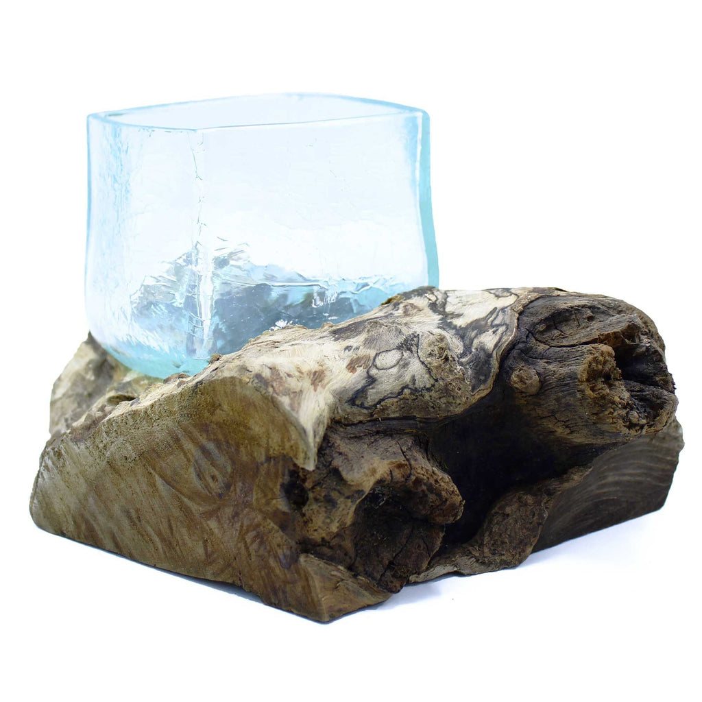 Molten Glass on Wood Tank, Crackled Recycled Glass Terrarium - Molten Root