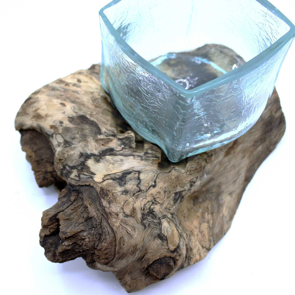 Molten Glass on Wood Tank, Crackled Recycled Glass Terrarium - Molten Root