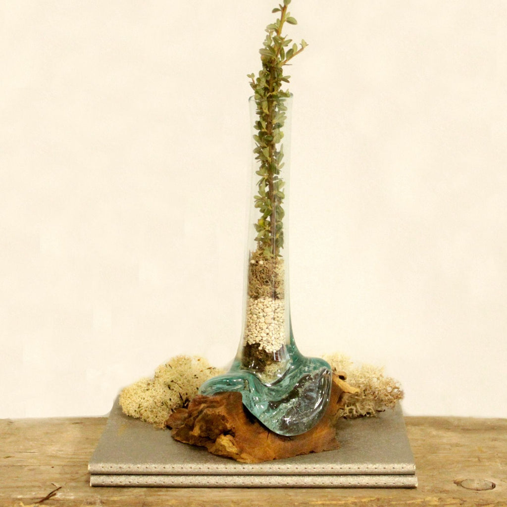 Molten Glass on Wood Vase (Hand-Blown Recycled Glass) - Molten Root