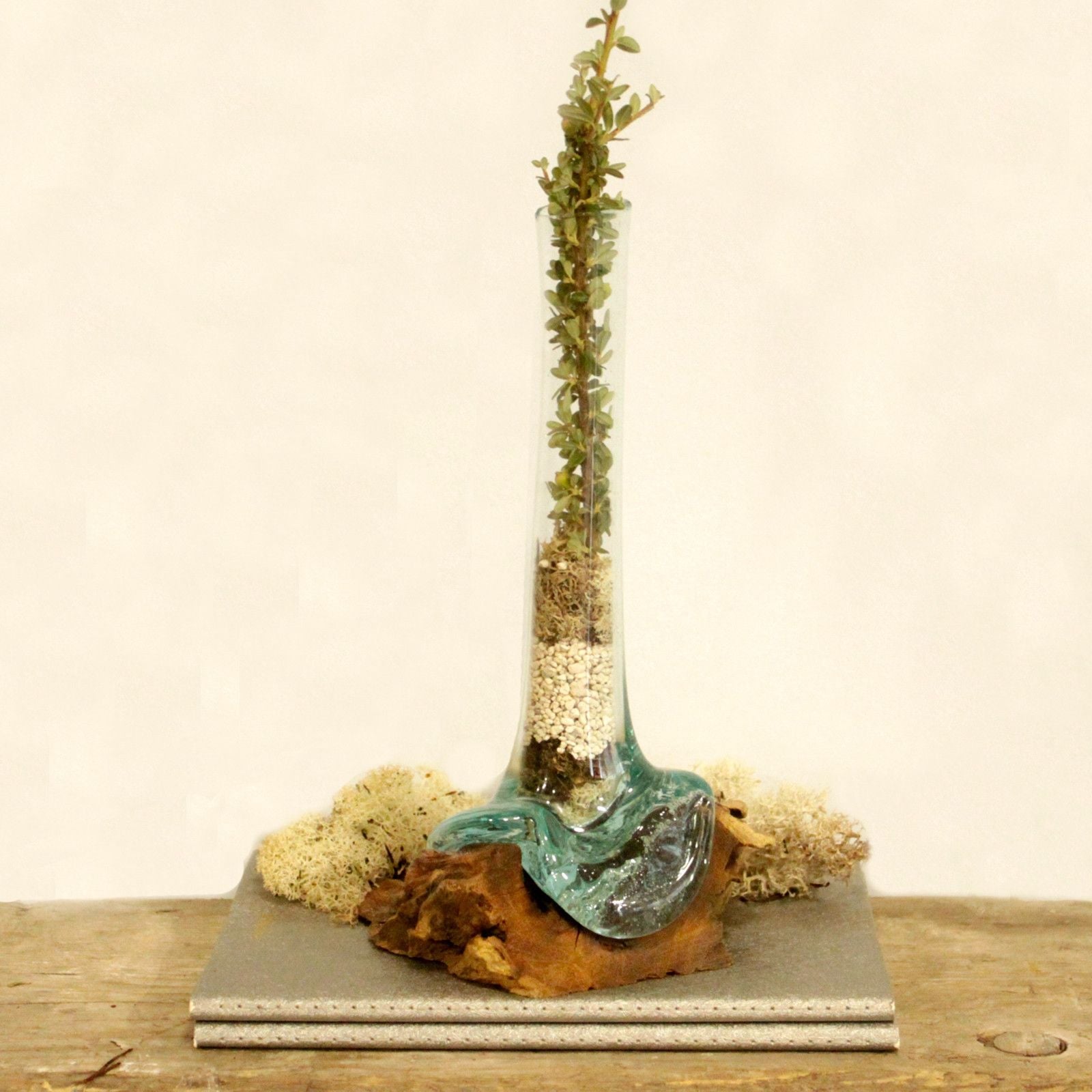 Molten Glass on Wood Vase (Hand-Blown Recycled Glass) - Molten Root