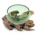 Recycled Glass on Wood Bowl, Large Wide (Hand-Blown Beer Bottle Glass) - Molten Root