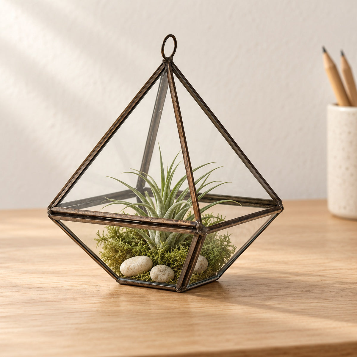 Small diamond glass terrarium in an antique brass-finish frame, planted with an air plant on moss and pebbles, on an oak desk