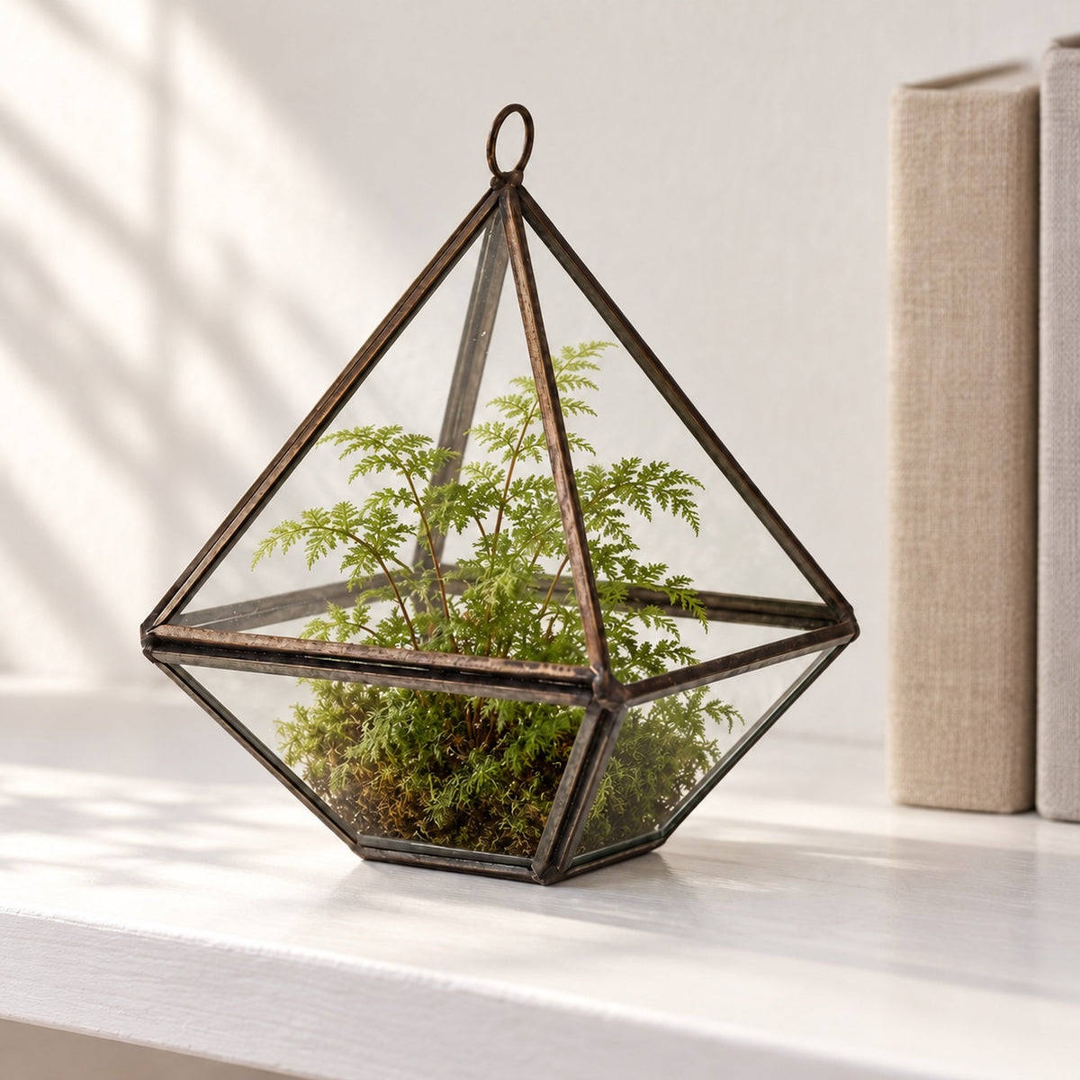 Small diamond glass terrarium planted with a fern on moss, on a white bookshelf beside books