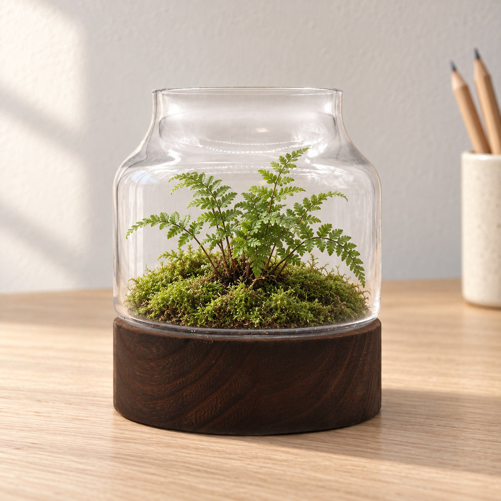 Small shaped glass terrarium on dark tung wood with a fern on moss, on an oak desk
