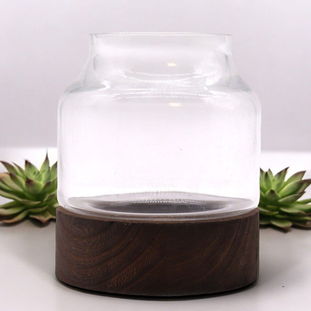 Small Shaped Terrarium on Dark Tung Wood - Molten Root