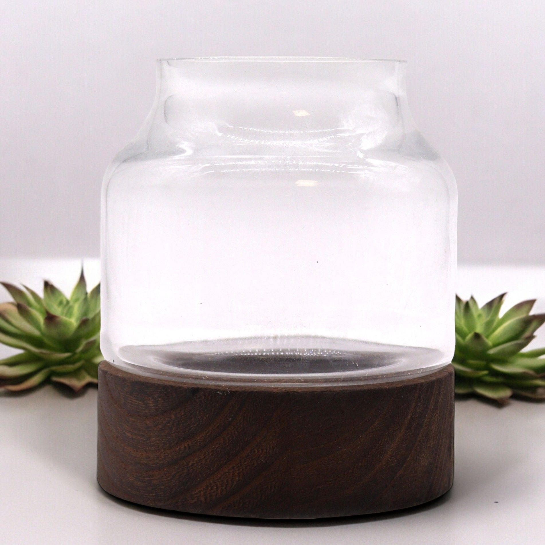 Small Shaped Terrarium on Dark Tung Wood - Molten Root