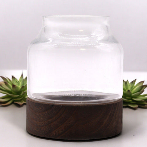 Small Shaped Terrarium on Dark Tung Wood - Molten Root
