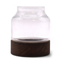 Small Shaped Terrarium on Dark Tung Wood - Molten Root