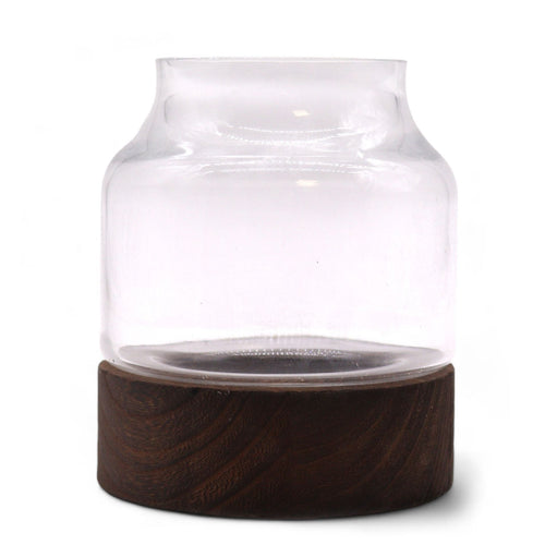 Small Shaped Terrarium on Dark Tung Wood - Molten Root
