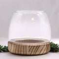 Small Terrarium on Natural Tung Wood - Molten Root