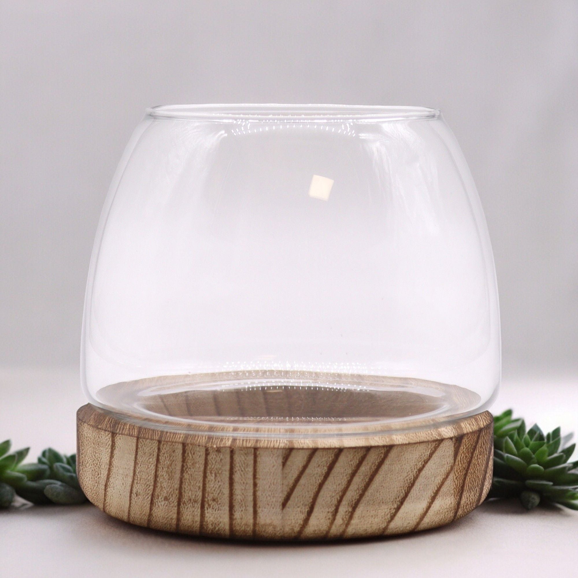 Small Terrarium on Natural Tung Wood - Molten Root