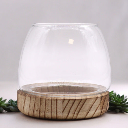 Small Terrarium on Natural Tung Wood - Molten Root