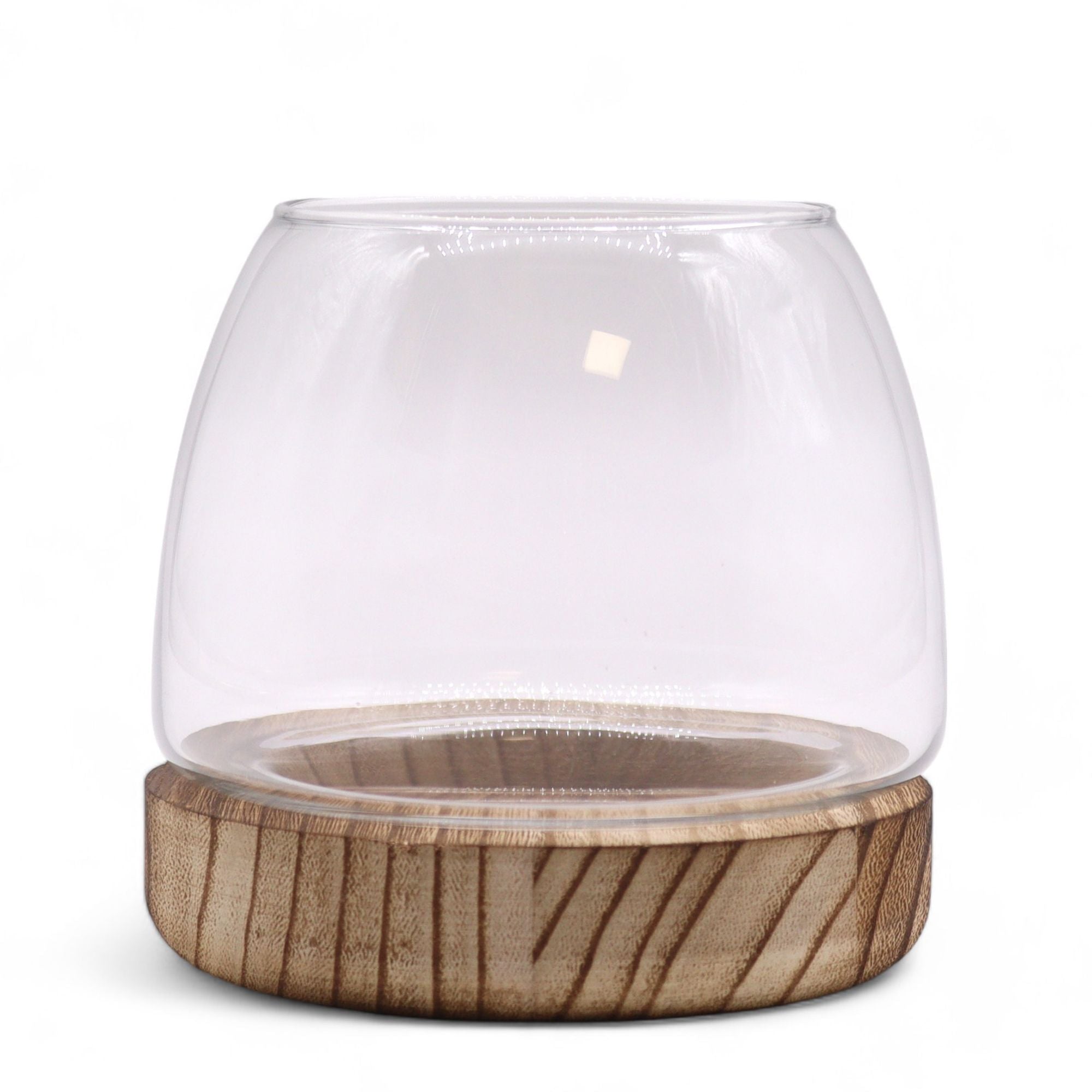 Small Terrarium on Natural Tung Wood - Molten Root
