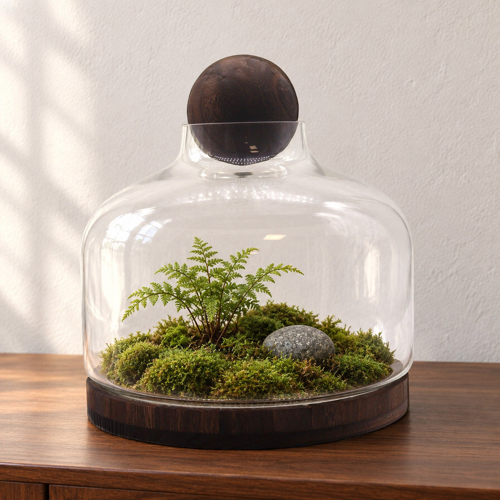 Extra large ball top terrarium on dark tung wood, planted with a moss landscape, a small fern and a grey pebble, on a walnut sideboard