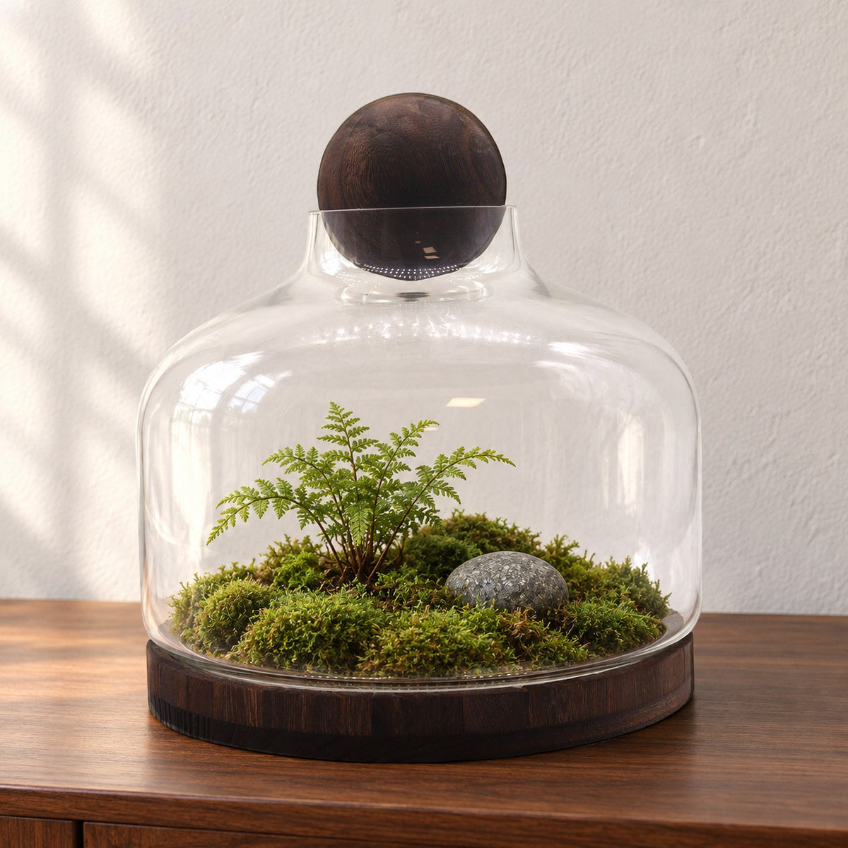 Extra large ball top terrarium on dark tung wood, planted with a moss landscape, a small fern and a grey pebble, on a walnut sideboard